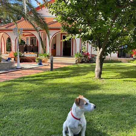 Anna With Pool By Poreč
